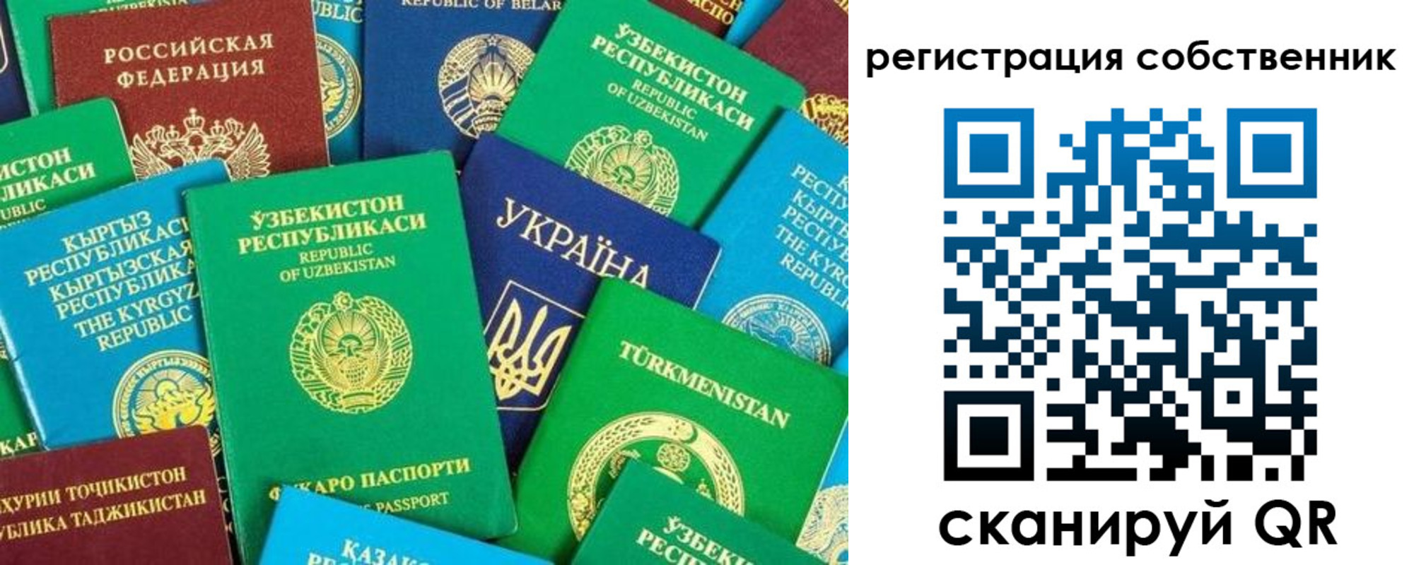 прописка в Павловском Посаде